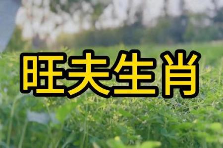 晚年最可怜的4大生肖女 晚年哪几个生肖女命苦