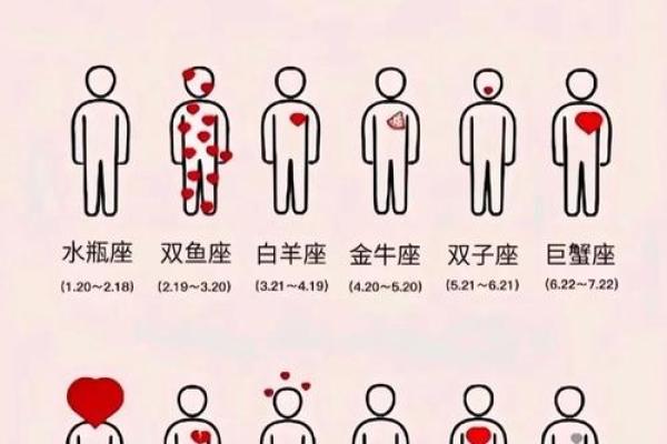 2026年星座实用榜：谁的方法最有效？