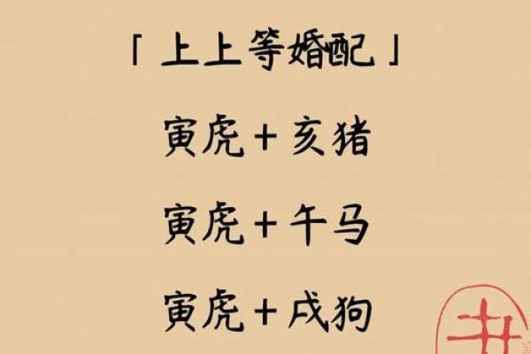 2026年属虎人最佳朋友选择：性格匹配