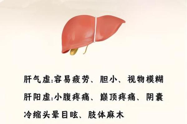 2026年肝脏排毒指南：东方震宫植物选择