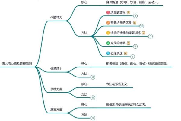 2026年能量管理：年轻人如何保持精力