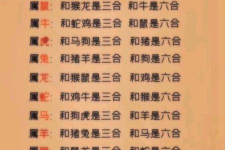 2026年最容易姐弟恋的3个生肖