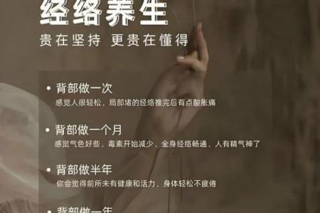 八字看2026年健康养生：哪些方法最适合你？