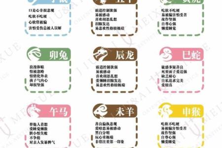 十子之上四中金是什么生肖 十子四中金生肖查询方法