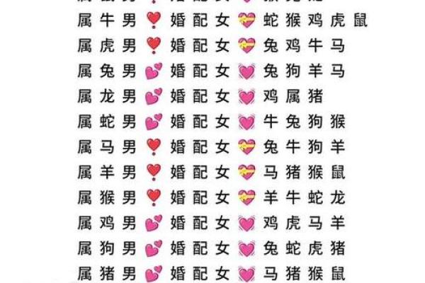 生肖配对:2026年最佳创业合作伙伴组合 生肖配对:2026年最佳创业合作伙伴组合