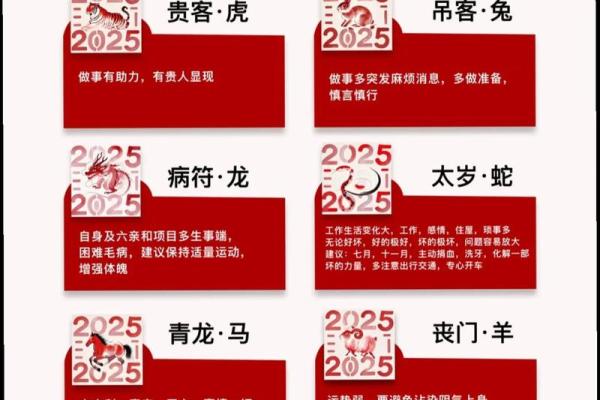 2026年十二生肖流年健康:疫情预测 2026年十二生肖流年健康:疫情预测