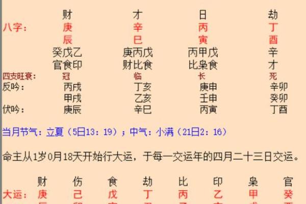 犯太岁生肖2026年健身指南：专属运动方案