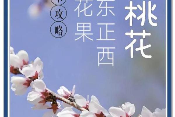 2026本命年桃花指南:属蛇人春节如何避开烂桃花 2026本命年桃花指南:属蛇人春节如何避开烂桃花