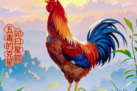 司晨报晓打一个生肖 司晨报晓生肖谜底查询