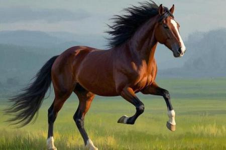 2026年属马人财运爆发月：这3个月投资回报率最高