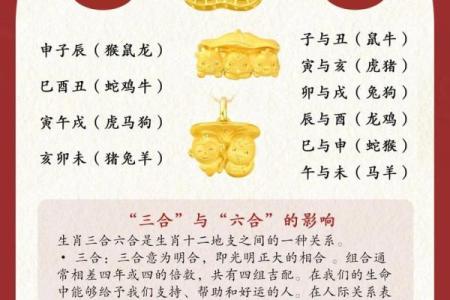 生肖配对：2026年最佳创业合作伙伴组合