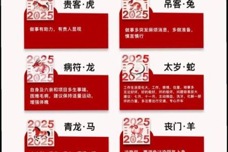 2026年十二生肖流年健康：疫情预测