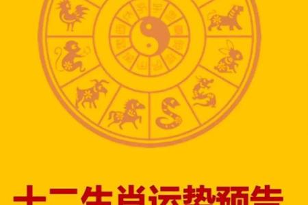 2026年财运最旺的5个体重生肖组合