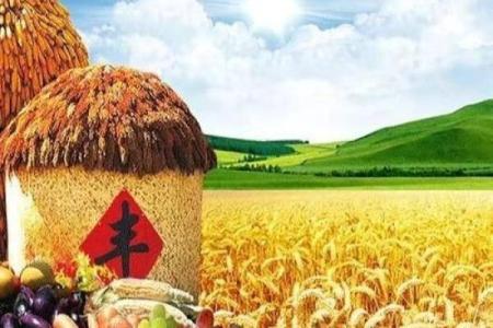 2026年属猪人最佳法律顾问：纠纷预防