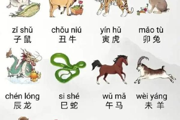 “挑针打眼”打一动物生肖 挑针打眼对应生肖是什么