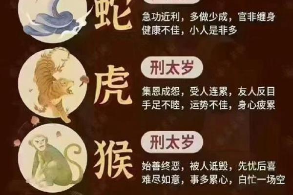害太岁防骗指南:2026年属猴人必设3道防线 害太岁防骗指南:2026年属猴人必设3道防线