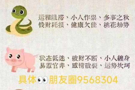 有翅难飞是指什么生肖 有翅难飞打一生肖答案