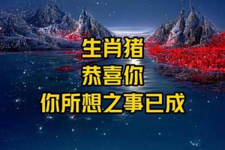 2026年属猪人项目命名：成功关键