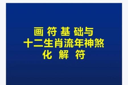 2026年十二生肖流年文化：精神需求
