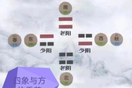 脾胃健康风水阵：2026年中央土位调理