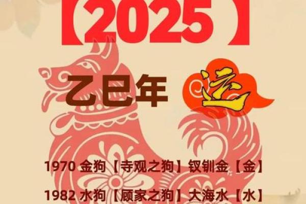2026年属狗人每月运势指南:投资黄金期 2026年属狗人每月运势指南:投资黄金期