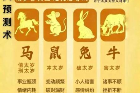 2026年十二生肖流年星座：双重影响