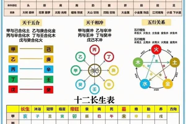 八字日主根气分析：稳固运势！