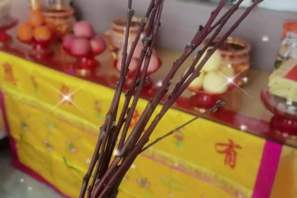 风水布局：春节前这样布置客厅招正桃花