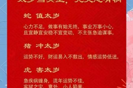 破太岁借贷规则：2026年属猪人借钱三不原则