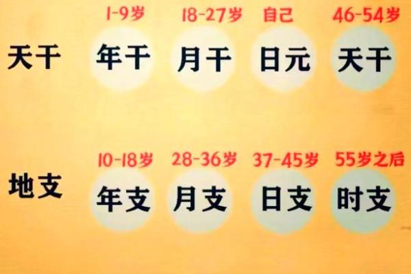 八字看2026年学业考试：哪些命格易上榜？