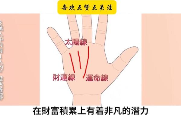 2026年搞钱手相：你的掌纹透露财富密码
