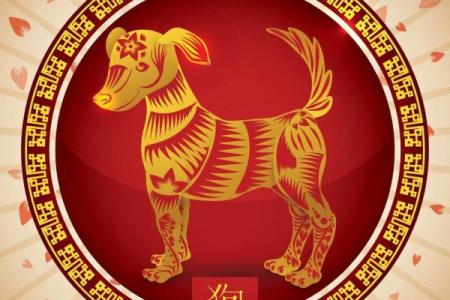 2026年宠物窝位：生肖相生