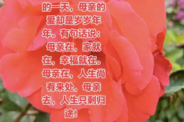 父亲节和母亲节是几月几日 父亲节和母亲节是几月几日