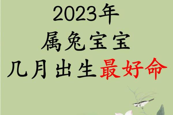 属兔的几月出生最好