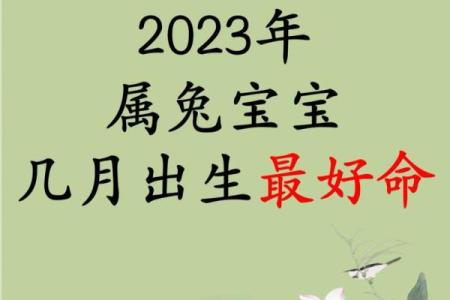 属兔的几月出生最好