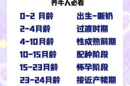 属牛几月出生最好