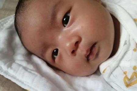 属马的2023年生兔宝宝好吗