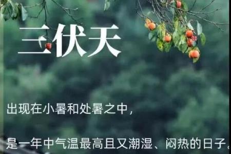 暑伏是几月几号2021