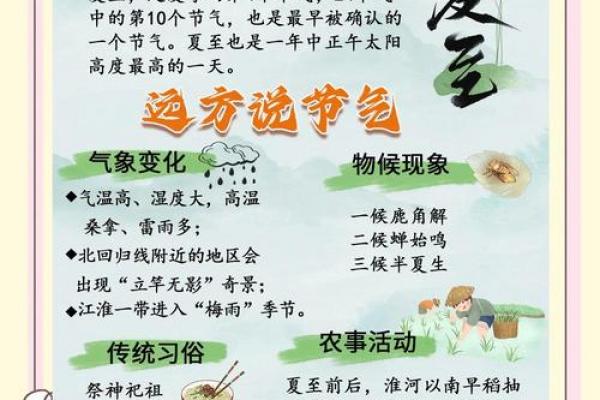 仲夏是指农历几月