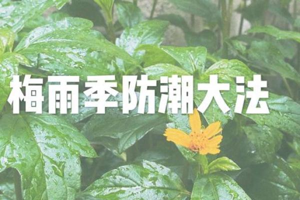 深圳梅雨季节是几月份,深圳梅雨季节什么时候结束... 深圳梅雨天气持续多久