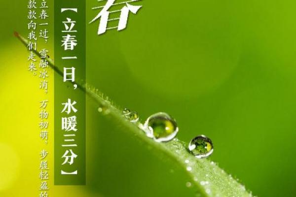 立春可以洗头吗 立春洗头禁忌与注意事项