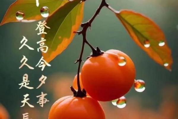 2020老人节是农历几月几日 老人节农历九月初九是哪天