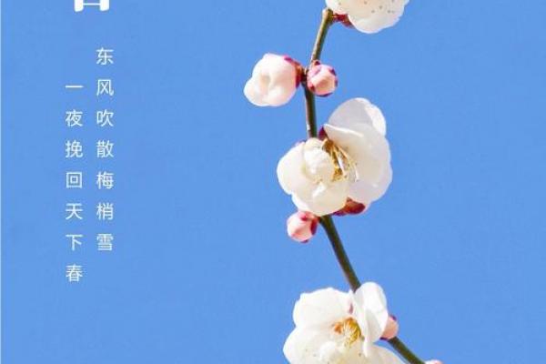 2020年立春时间表 2020年立春具体时间点