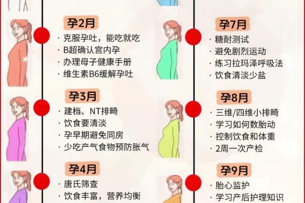 2026年10月生孩子最佳时间表最新指南来了