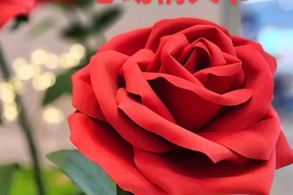 2月14号情人节是哪个国家的节日 2月14日情人节的发源地