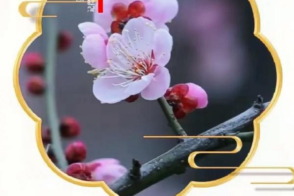 2024年立春是几点几分 立春几点打春2024年