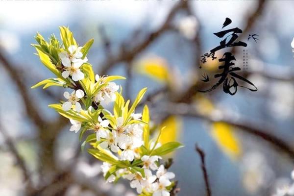 为什么2019年立春与除夕同一天 立春与除夕同一天有什么讲究 为什么2019年立春与除夕同一天 立春与除夕同一天有什么讲究