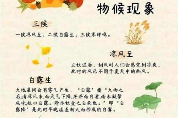 立秋之后还要热多久 立秋后天气转凉时间