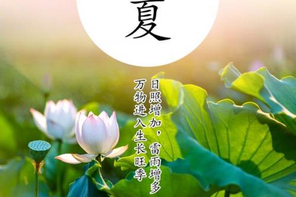 立夏是几月几日2021 立夏节气2021年时间 立夏是几月几日2021 立夏节气2021年时间