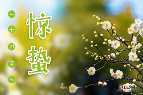 2021惊蛰是几月几日日几点 惊蛰节气2021年几点几分